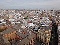 DSC10028.JPG