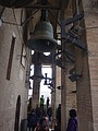 DSC10036.JPG