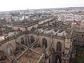 DSC10040.JPG