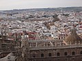 DSC10041.JPG