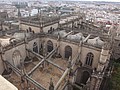 DSC10043.JPG