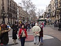 DSC00082.JPG