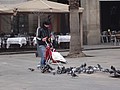 DSC00086.JPG