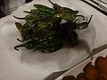 DSC00094.JPG