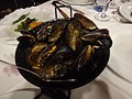 DSC00095.JPG