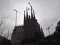 DSC00292.JPG