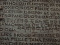 DSC00315.JPG