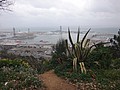 DSC00384.JPG
