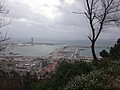 DSC00385.JPG