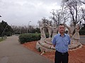 DSC00387.JPG