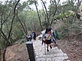 DSC00441.JPG