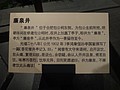DSC00541.JPG