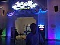DSC00586.JPG