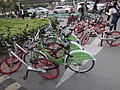 DSC00595.JPG