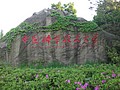 DSC00597.JPG
