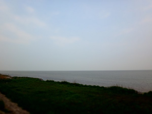 DSC00662.JPG