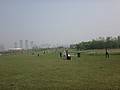 DSC00630.JPG