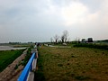 DSC00663.JPG