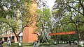 DSC00715.jpg