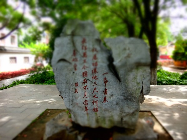 DSC00724.JPG