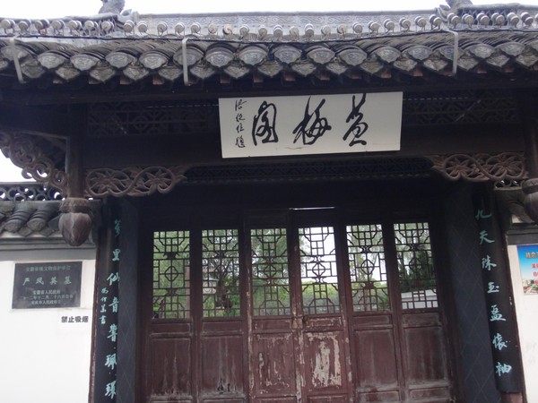 DSC00801.JPG