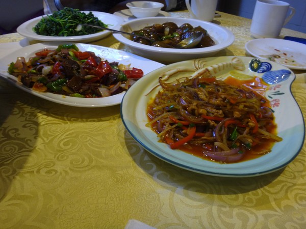 DSC00808.JPG