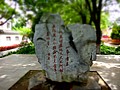 DSC00724.JPG