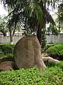 DSC00736.JPG