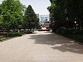 DSC00738.JPG