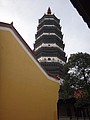 DSC00775.JPG