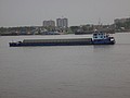 DSC00778.JPG