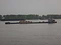 DSC00784.JPG