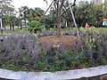 DSC00795.JPG