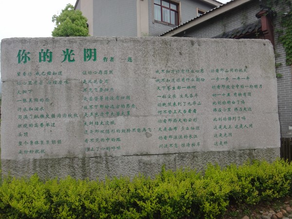 DSC00848.JPG
