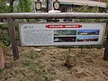 DSC00842.JPG
