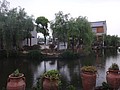 DSC00896.JPG