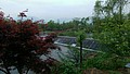 DSC00912.jpg