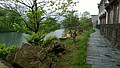 DSC00913.jpg