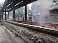 DSC00942.JPG