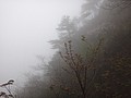 DSC00970.JPG