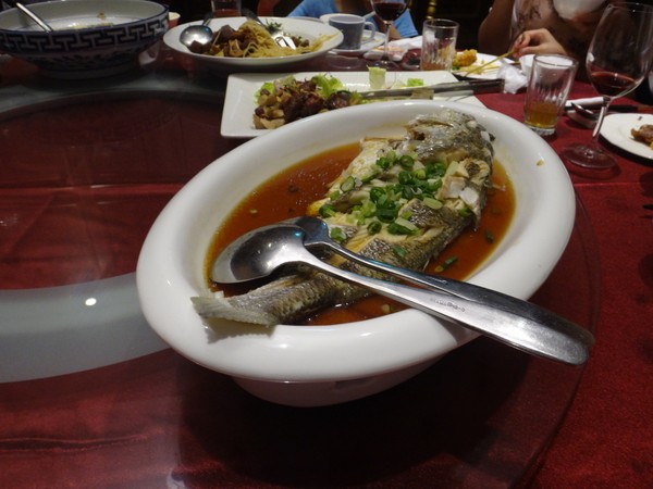 DSC01004.JPG