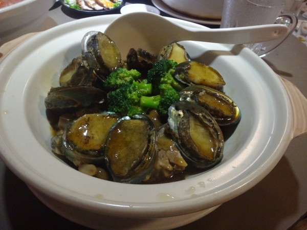 DSC01080.JPG