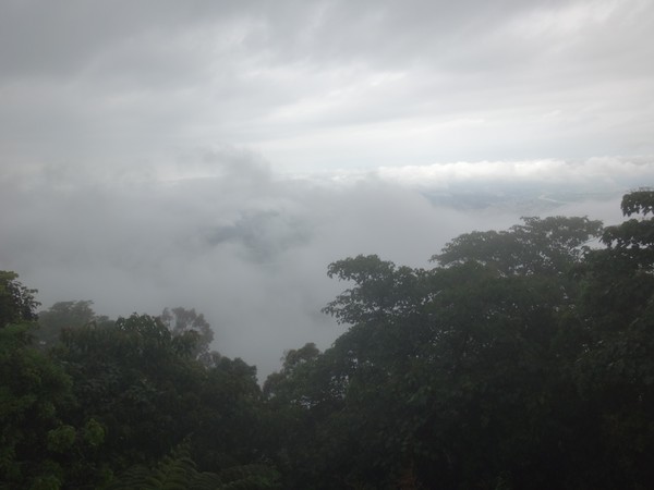 DSC01154.JPG