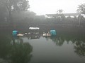 DSC01150.JPG