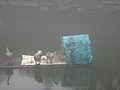 DSC01151.JPG