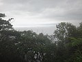 DSC01153.JPG
