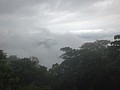 DSC01154.JPG