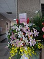 DSC01264.JPG
