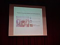 DSC01293.JPG