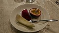 DSC01521.jpg